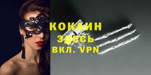PSILOCYBIN Бронницы